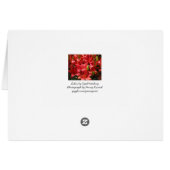 Lily Card (Back Horizontal)