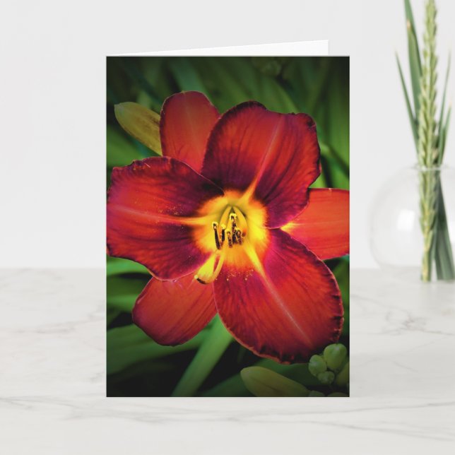 Lily, card (Front)