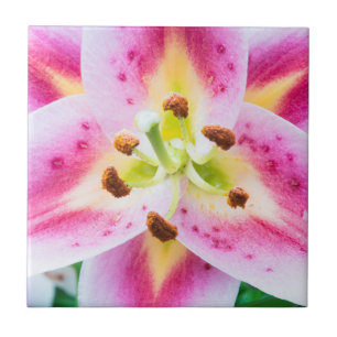 Lily Close-up Tile