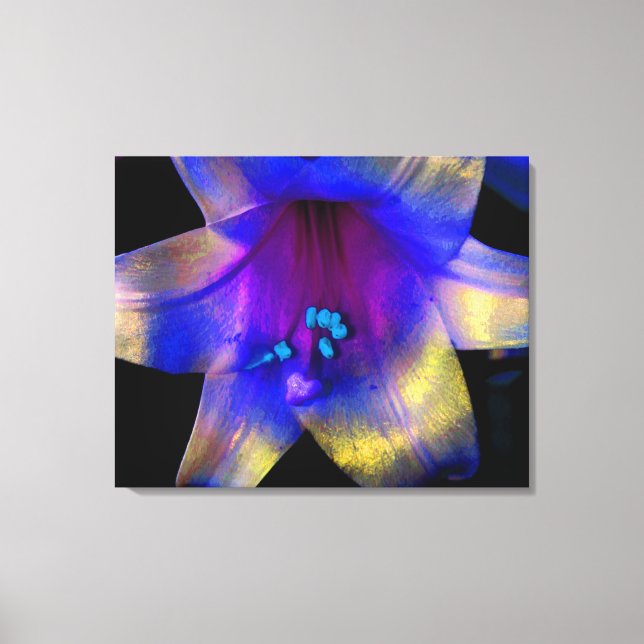 Lily Digitally Enhanced Canvas Wrap Quad Print (Front)