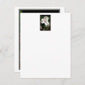 Lily Flower. (Front/Back)