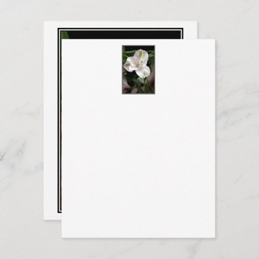 Lily Flower. (Front/Back)