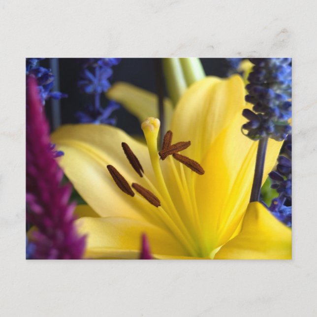 Lily Flower Arrangement Postcard (Front)