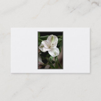 Lily Flower. Business Card