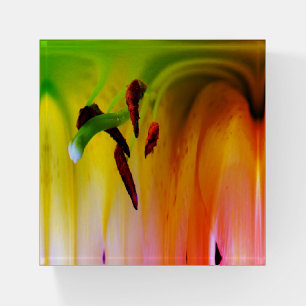 Lily Flower Fantasy Floral Abstract Art Paperweight