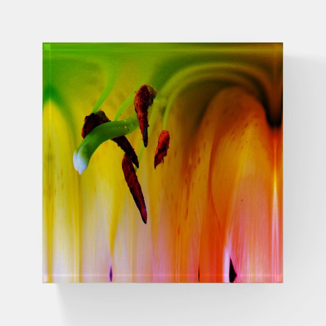 Lily Flower Fantasy Floral Abstract Art Paperweight (Front)