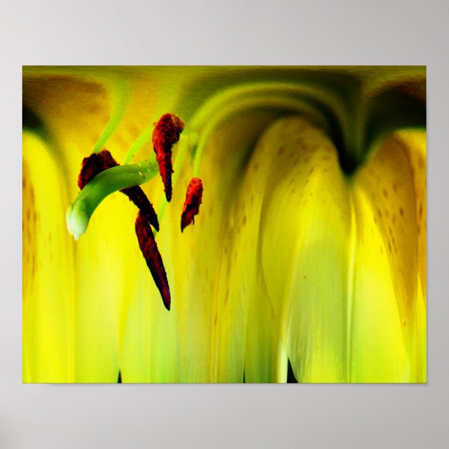 Lily Flower Fantasy Floral Abstract Poster (Front)