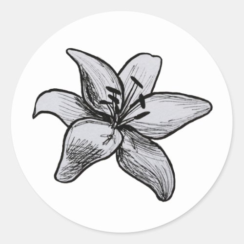 Lily flower sketch drawing classic round sticker