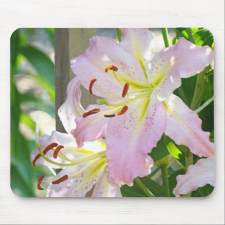 Lily Flowers Floral Garden mouse pad Nature