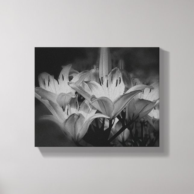 Lily Flowers In Black And White   Canvas Print (Front)