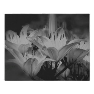 Lily Flowers In Black And White   Faux Canvas Print