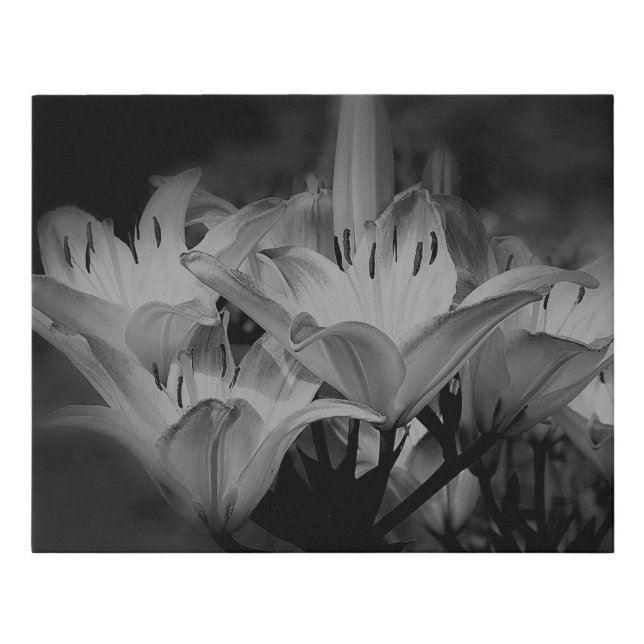 Lily Flowers In Black And White   Faux Canvas Print (Front)
