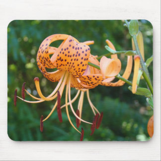 LILY FLOWERS LILIES MOUSE PADS MOUSEPAD