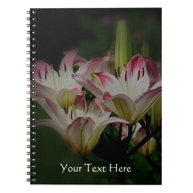 Lily Flowers Nature Notebook (Front)