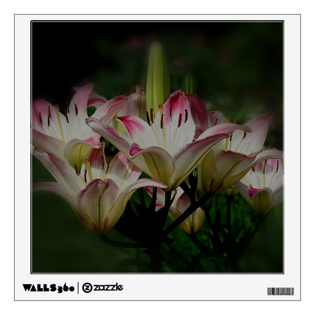 Lily Flowers Wall Decal (Front)