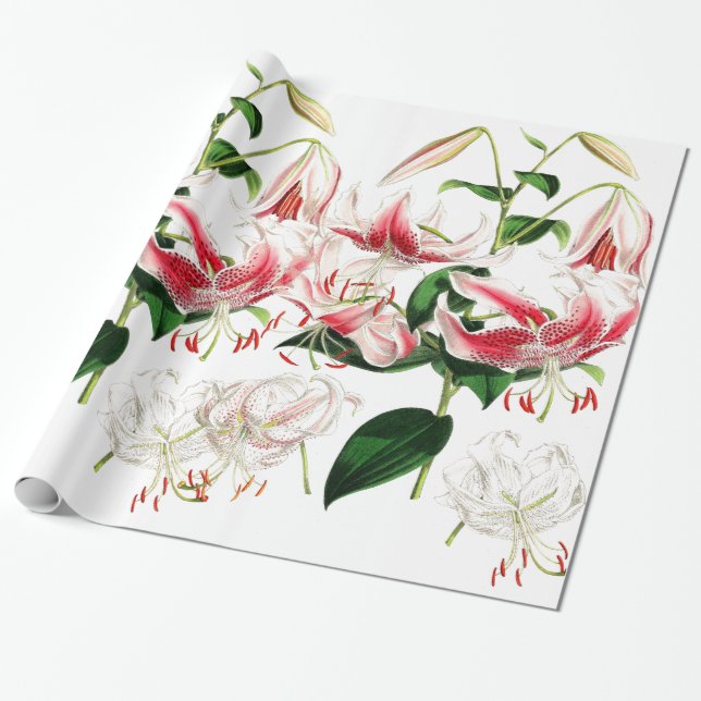 Lily Flowers Wrapping Paper (Unrolled)