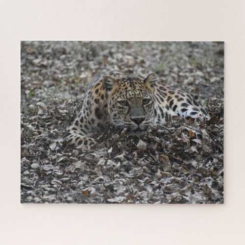 Lily in Leaves Jigsaw Puzzle
