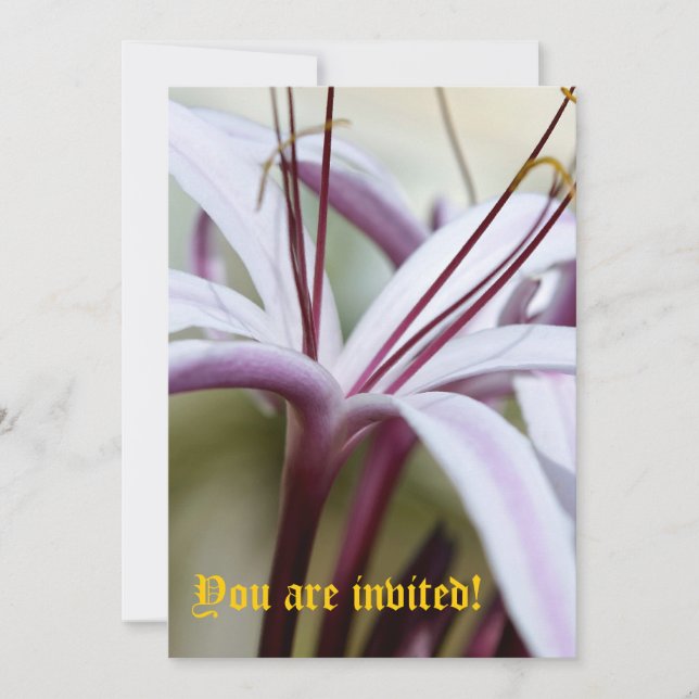 Lily Invitations - Customized (Front)