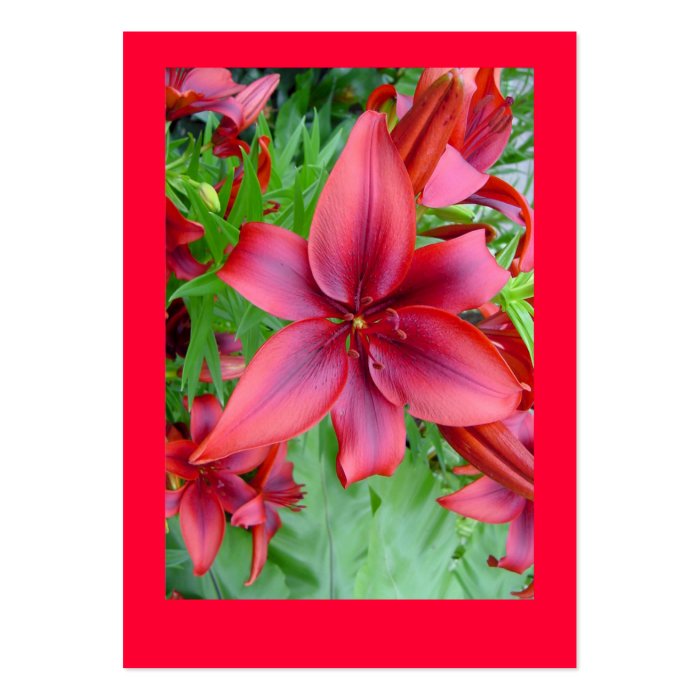 Lily   Iridescent Red (Luke 1215) Tract Cards / Business Card