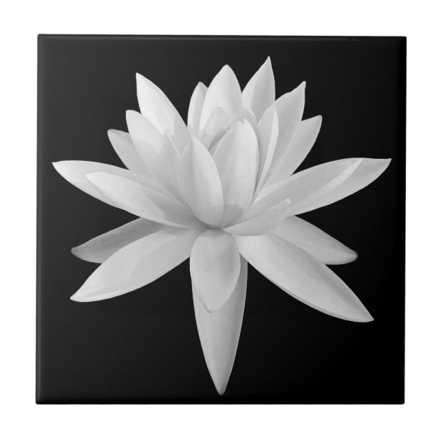 Lily Lotus Black and White Fine Art Photograph Ceramic Tile (Front)