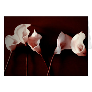 Lily Love Cards