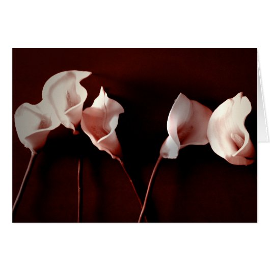 Lily Love Cards (Front Horizontal)