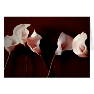 Lily Love Cards