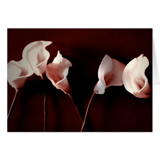 Lily Love Cards (Front Horizontal)