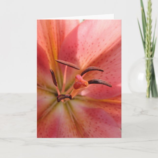 Lily Macro Card (Front)