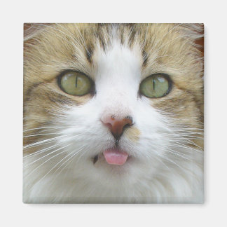 Lily Magnet 003