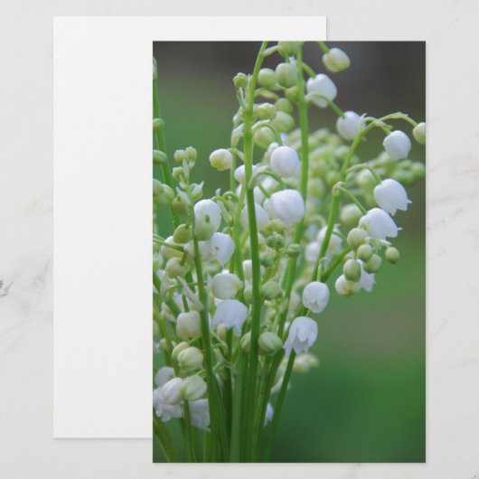 Lily of the valley (Front/Back)