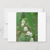 Lily-of-the-valley (Front)