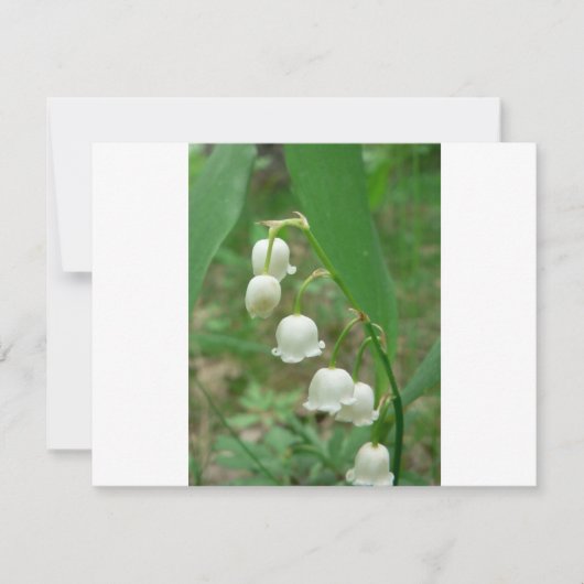 Lily-of-the-valley (Front)