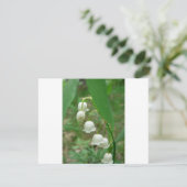 Lily-of-the-valley (Standing Front)