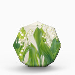 Lily of the Valley Award<br><div class="desc">A studio shot of a group of lily of the valley flowers</div>