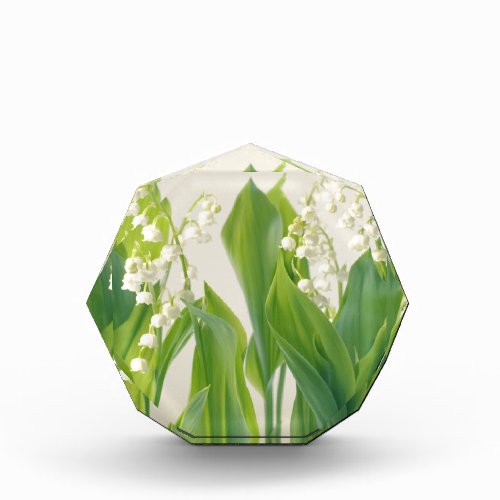Lily of the Valley Award