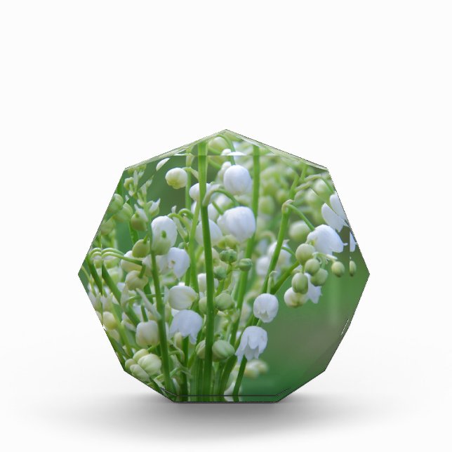 Lily of the valley award (Front)