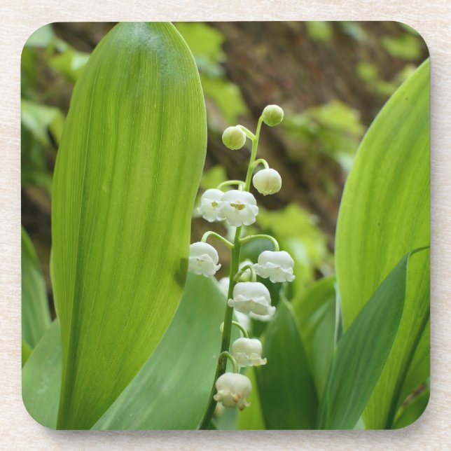 Lily of the Valley Beverage Coaster (Front)