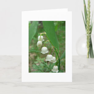 Lily of the valley Blank Greeting Card