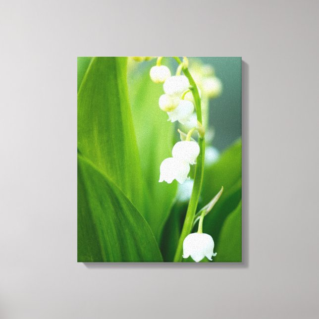 Lily of the Valley Canvas Print (Front)
