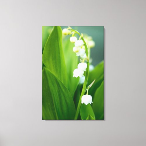 Lily of the Valley Canvas Print