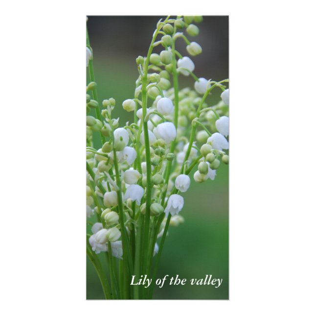 Lily of the valley card (Front)