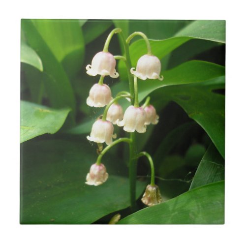 Lily of the Valley Ceramic Tile