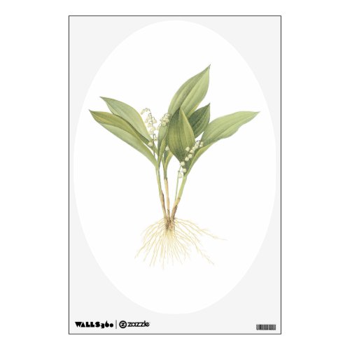Lily_of_the_valleyConvallaria majalis by Redout Wall Sticker