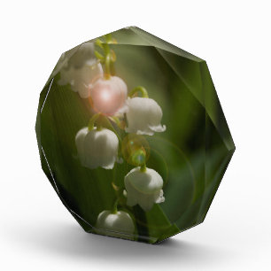 Lily Of The Valley Floral Award
