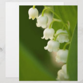 Lily of the Valley Flower (Front/Back)
