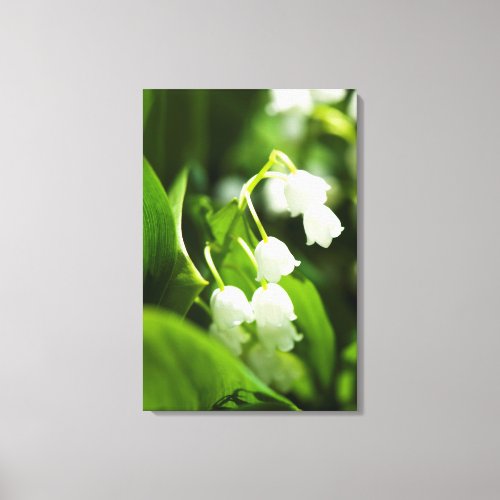 Lily of the valley flower canvas print