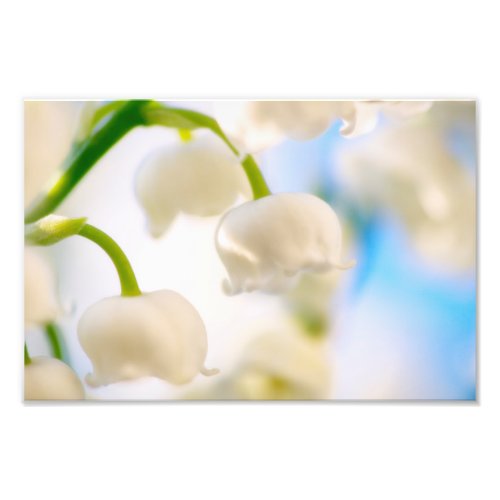 Lily of the Valley Flower Close_up Photo Print