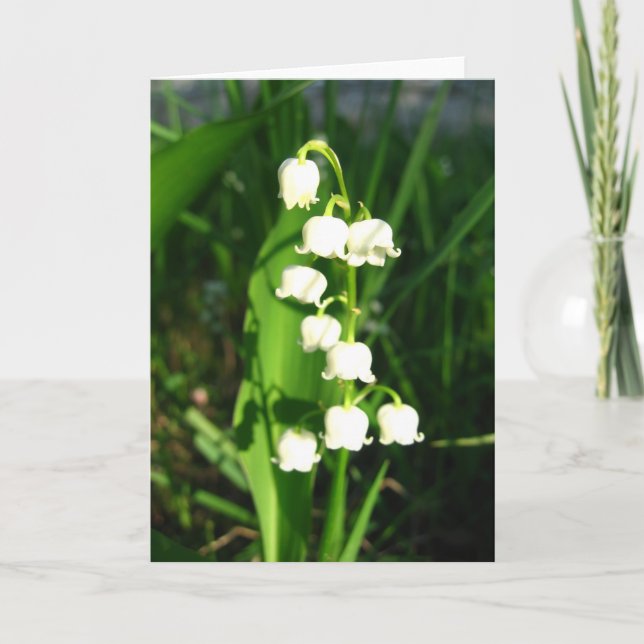 Lily Of The Valley Flowers Card (Front)