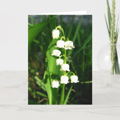 Lily Of The Valley Flowers Card